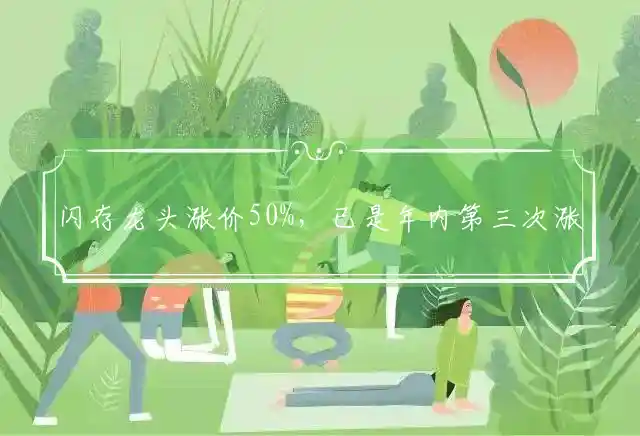 闪存龙头涨价50%，已是年内第三次涨价