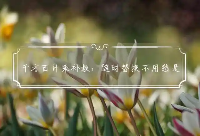 千方百计来补救,随时替换不用愁