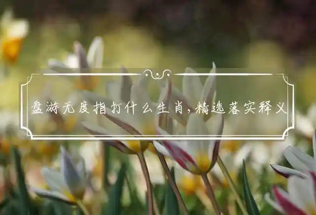 盘游无度