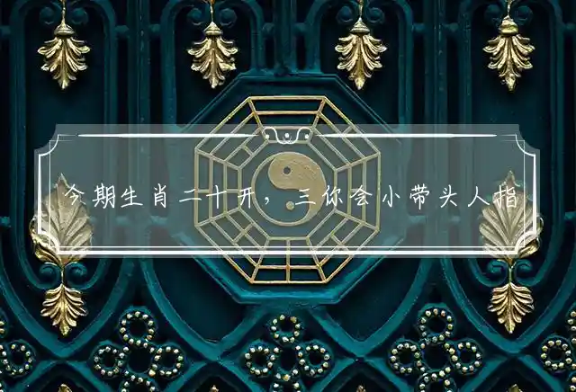 今期生肖二十开,三你会小带头人