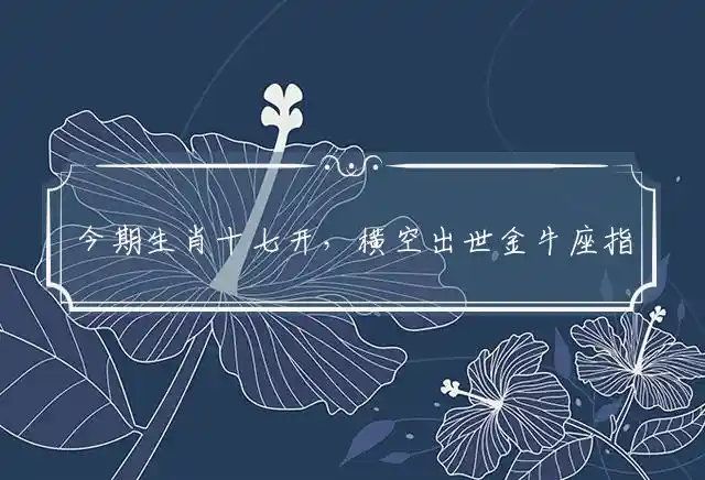 今期生肖十七开,横空出世金牛座