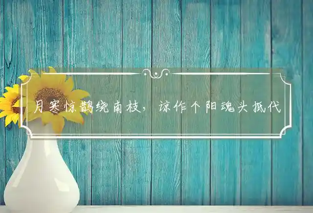 月寒惊鹊绕南枝,谅作个阳魂头抵