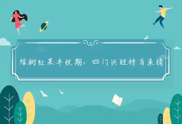 绿树红果丰收期,四门兴旺特马来