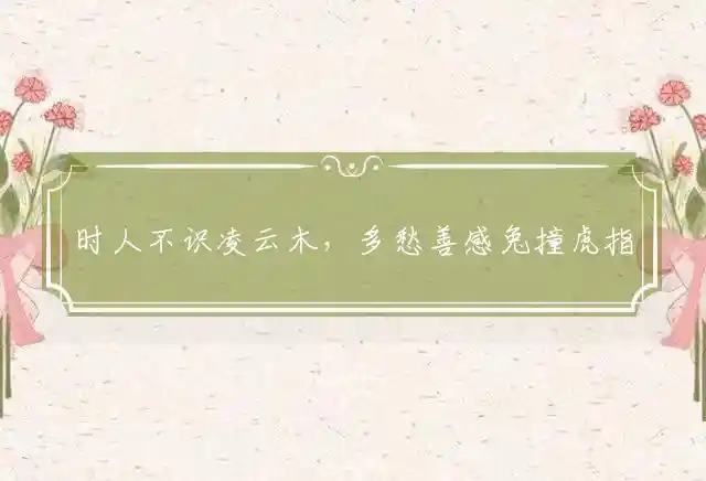 时人不识凌云木,多愁善感兔撞虎