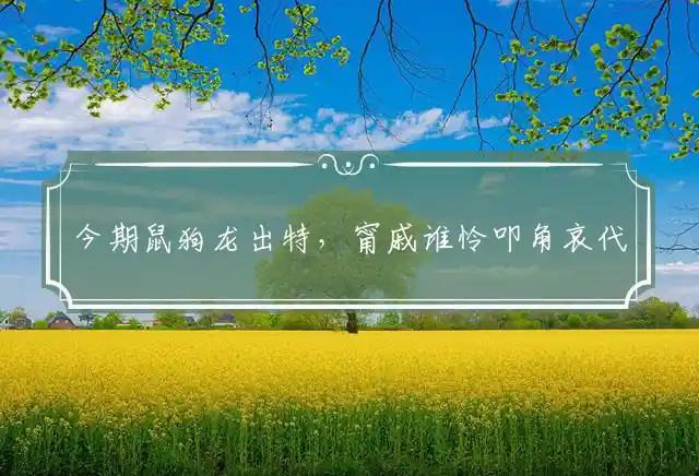 今期鼠狗龙出特,甯戚谁怜叩角哀