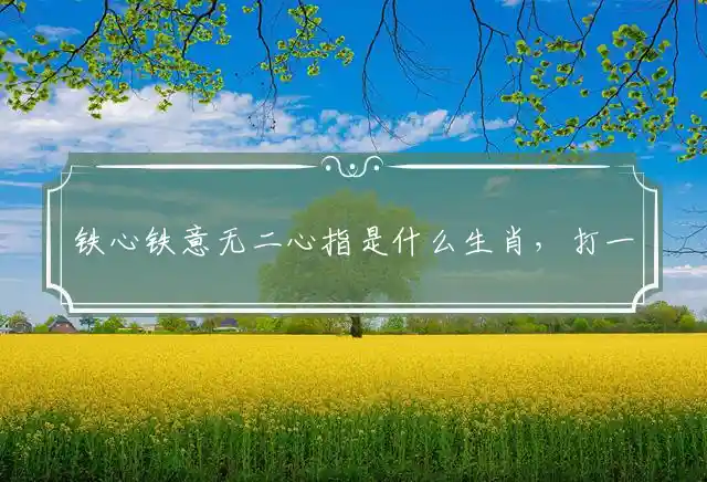 铁心铁意无二心