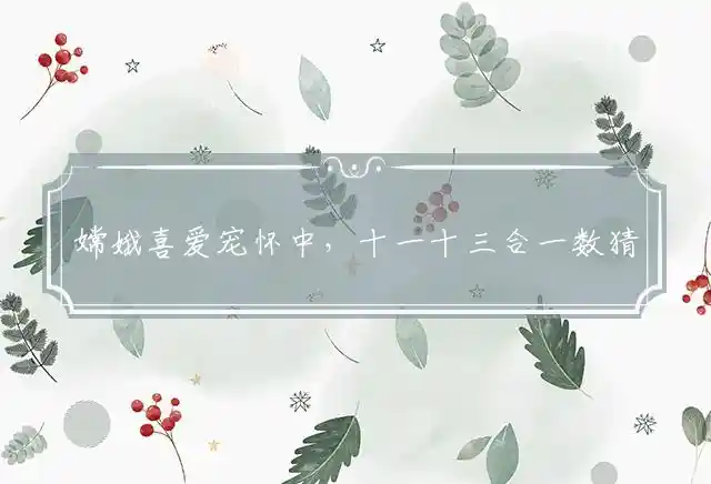 嫦娥喜爱宠怀中,十一十三合一数