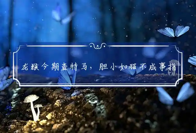 龙猴今期查特马,胆小如猫不成事