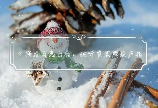 今期龙马兔出特,犹听霓裳羯鼓声