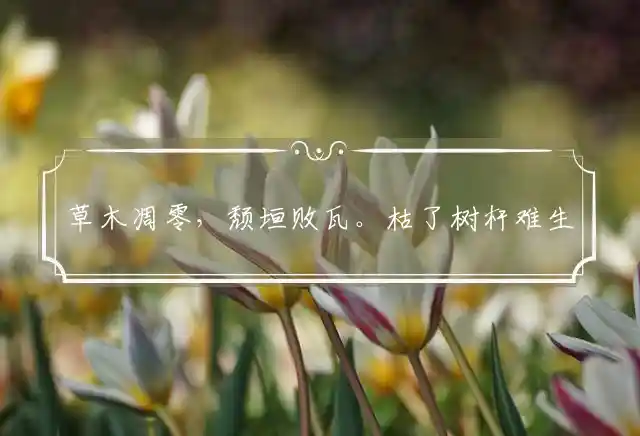 草木凋零,颓垣败瓦。枯了树杆难生花!缅怀过去,往昔浮华。风光不再莫惊讶