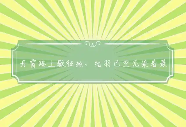 丹霄路上歇征轮,结羽已空无染着