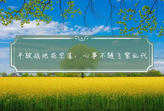 平陂战地花空落,心事不随飞絮乱