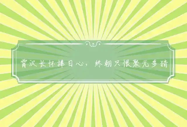 霄汉长怀捧日心，终朝只恨聚无多猜打一谜团最佳生肖,精选释义谜团解释 