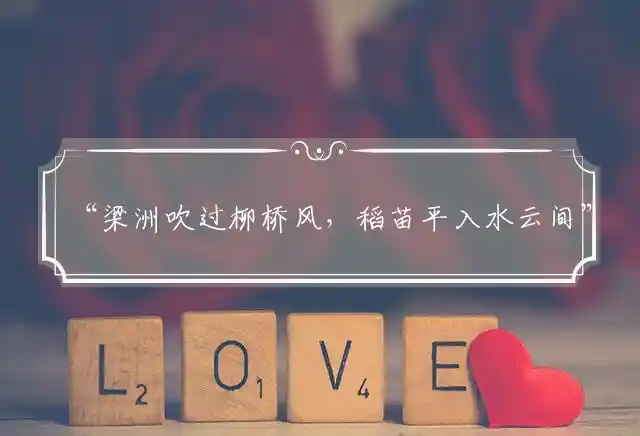 梁洲吹过柳桥风,稻苗平入水云间是什么生肖