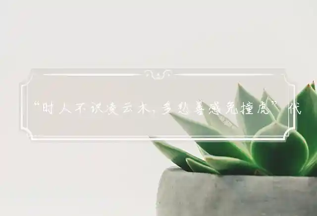 “时人不识凌云木,多愁善感兔撞虎”代表打一最佳精准生肖,词语解释谜底释义