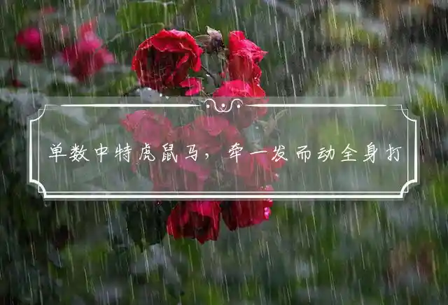 单数中特虎鼠马，牵一发而动全身打指一什么最佳生肖，最佳谜底词语释义 