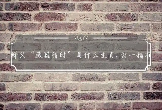 释义“藏器待时”是什么生肖,打一精准准确最佳正确释义
