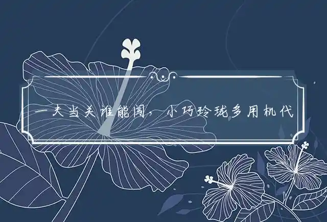 一夫当关谁能闯,小巧玲珑多用机