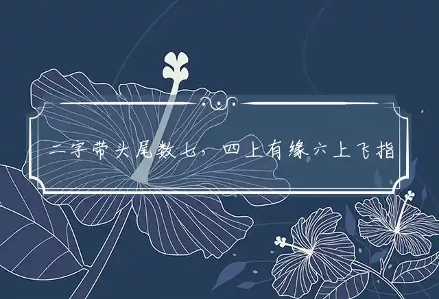 二字带头尾数七,四上有缘六上飞