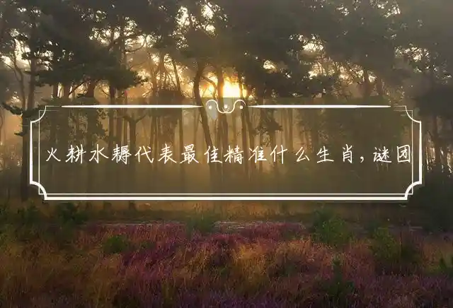 火耕水耨代表最佳精准什么生肖,谜团精选释义解释 