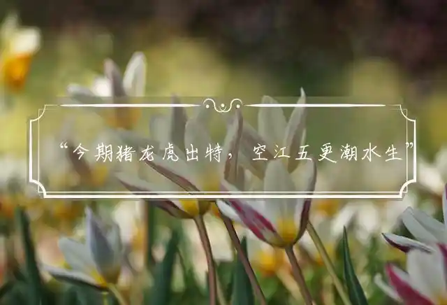 “今期猪龙虎出特，空江五更潮水生”准确释义打一最佳精准生肖,精准词语深度释义