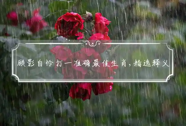 顾影自怜打一准确最佳生肖,精选释义词语解析 