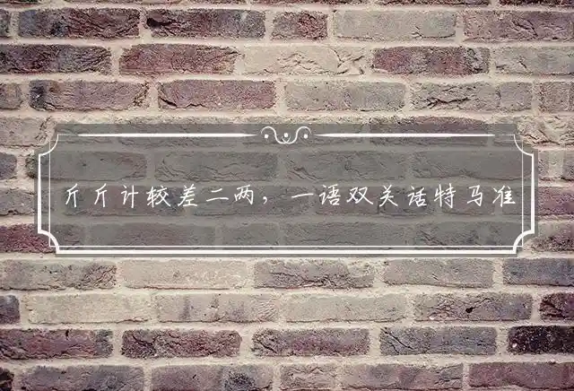 斤斤计较差二两，一语双关话特马准确释义打一什么生肖,准确最佳词语解释释义