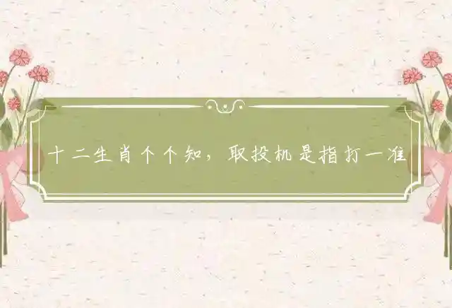 十二生肖个个知，取投机是指打一准确生肖,猜打一最佳词语解释释义 