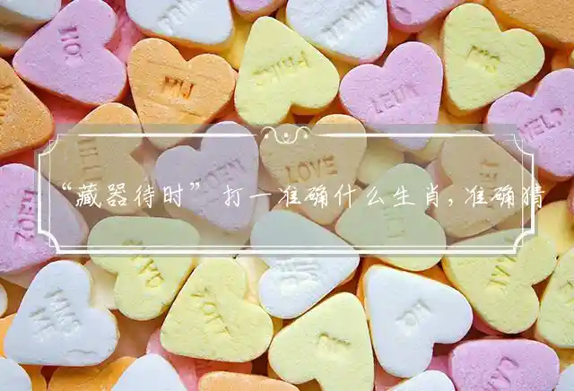“藏器待时”打一准确什么生肖,准确猜打一肖精选释义解释