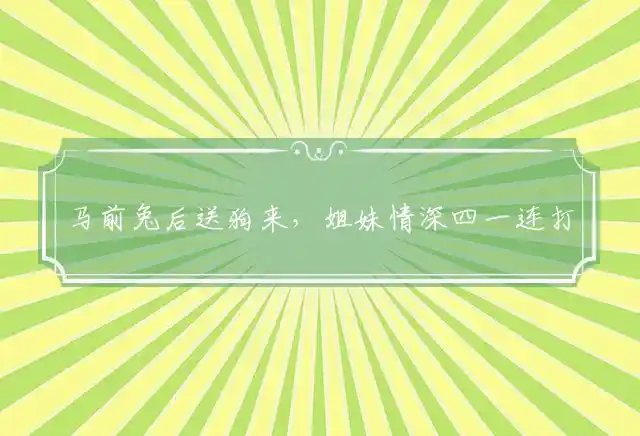 马前兔后送狗来,姐妹情深四一连是什么生肖