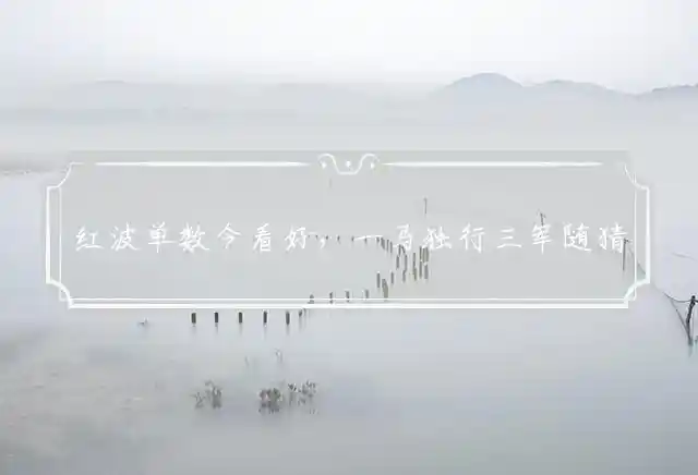 红波单数今看好,一马独行三军随