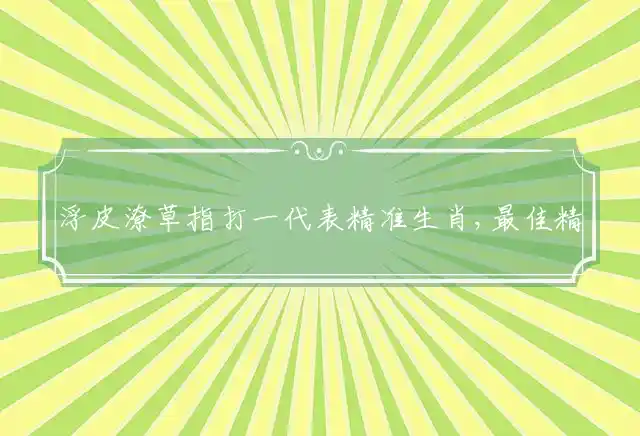 浮皮潦草是什么生肖