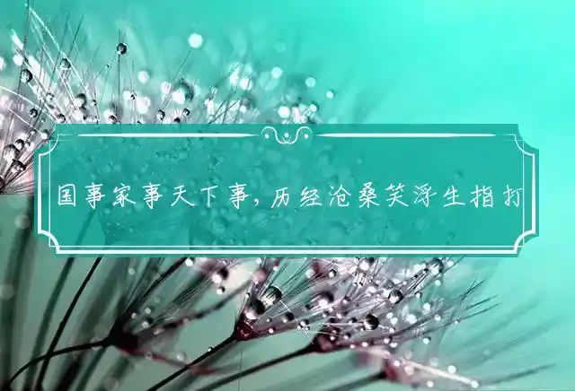 国事家事天下事,历经沧桑笑浮生