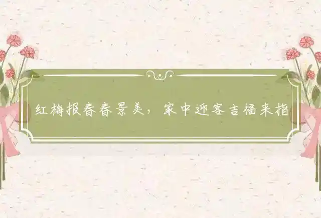 红梅报春春景美，家中迎客吉福来指打个最佳精准生肖,准确答案释义深度详解 