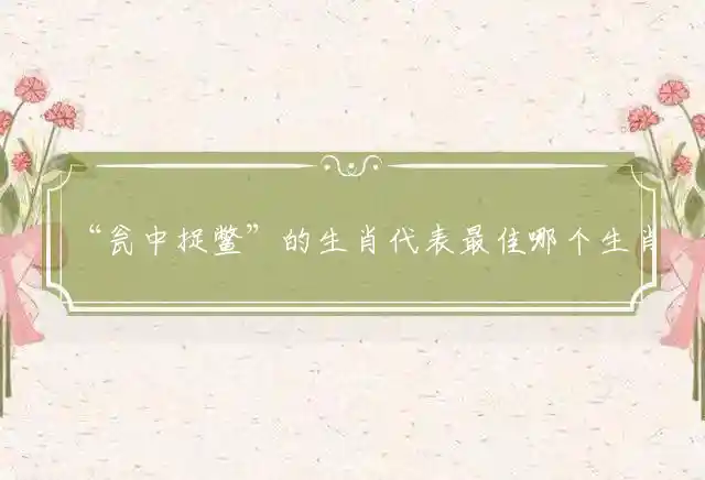 瓮中捉鳖是什么生肖