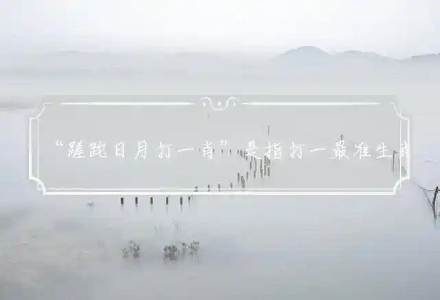 “蹉跎日月打一肖”是指打一最准生肖,释义最新精准准确解义