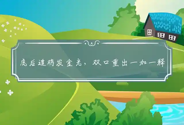 虎后追鸡发金光，双口重出一加一释义解释指是代表什么生肖，最佳释义词语深度解释