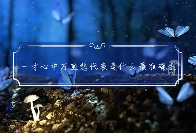 一寸心中万里愁是什么生肖