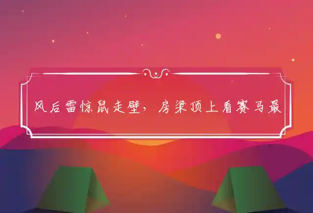 风后雷惊鼠走壁，房梁顶上看赛马最准释义代表哪个生肖,释义词语猜一肖精选解释