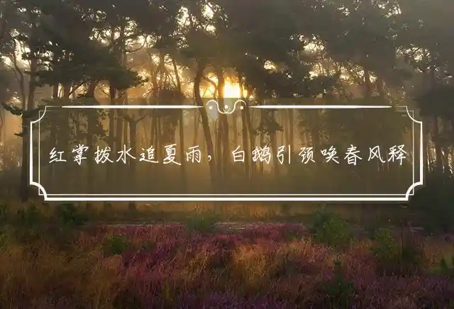 红掌拨水追夏雨，白鹅引颈唤春风释义精准代表最佳什么生肖，释义谜团精解析解释