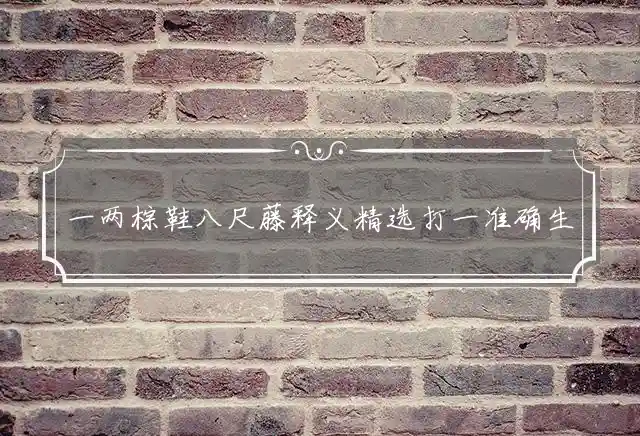 一两棕鞋八尺藤释义精选打一准确生肖,正确解读精选词语释义