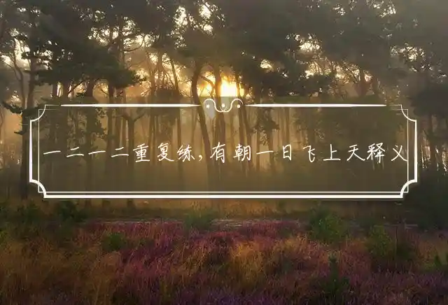 一二一二重复练,有朝一日飞上天是什么生肖
