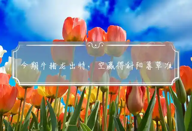 今期牛猪龙出特，空赢得斜阳暮草准确打一最佳经典生肖,释义作答词语赏析解释