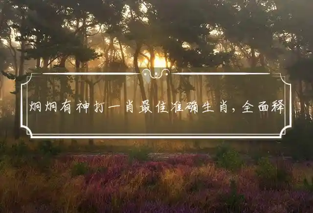 炯炯有神打一肖最佳准确生肖,全面释义独家解释 