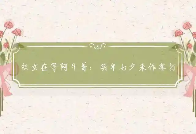 织女在等阿牛哥,明年七夕来作客是什么生肖