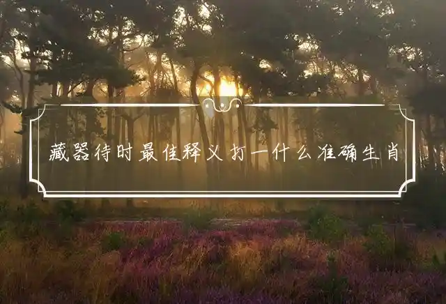 藏器待时最佳释义打一什么准确生肖,精选打一肖释义成语解释