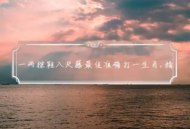 一两棕鞋八尺藤最佳准确打一生肖,精选释义猜打一最佳成语解释