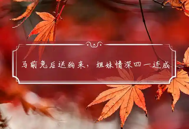 马前兔后送狗来,姐妹情深四一连是什么生肖
