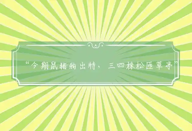 今期鼠猪狗出特,三四株松匝草亭是什么生肖