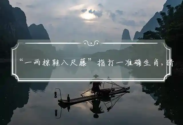 “一两棕鞋八尺藤”指打一准确生肖,猜打一释义词语精选解释